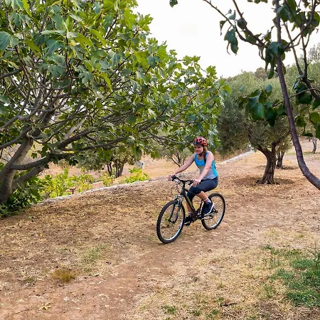 Villa Green Island Athena&poseidon Ioulis