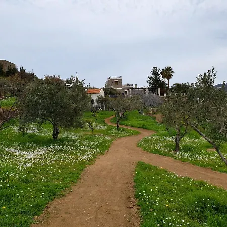 Green Island Athena&poseidon Ioulis